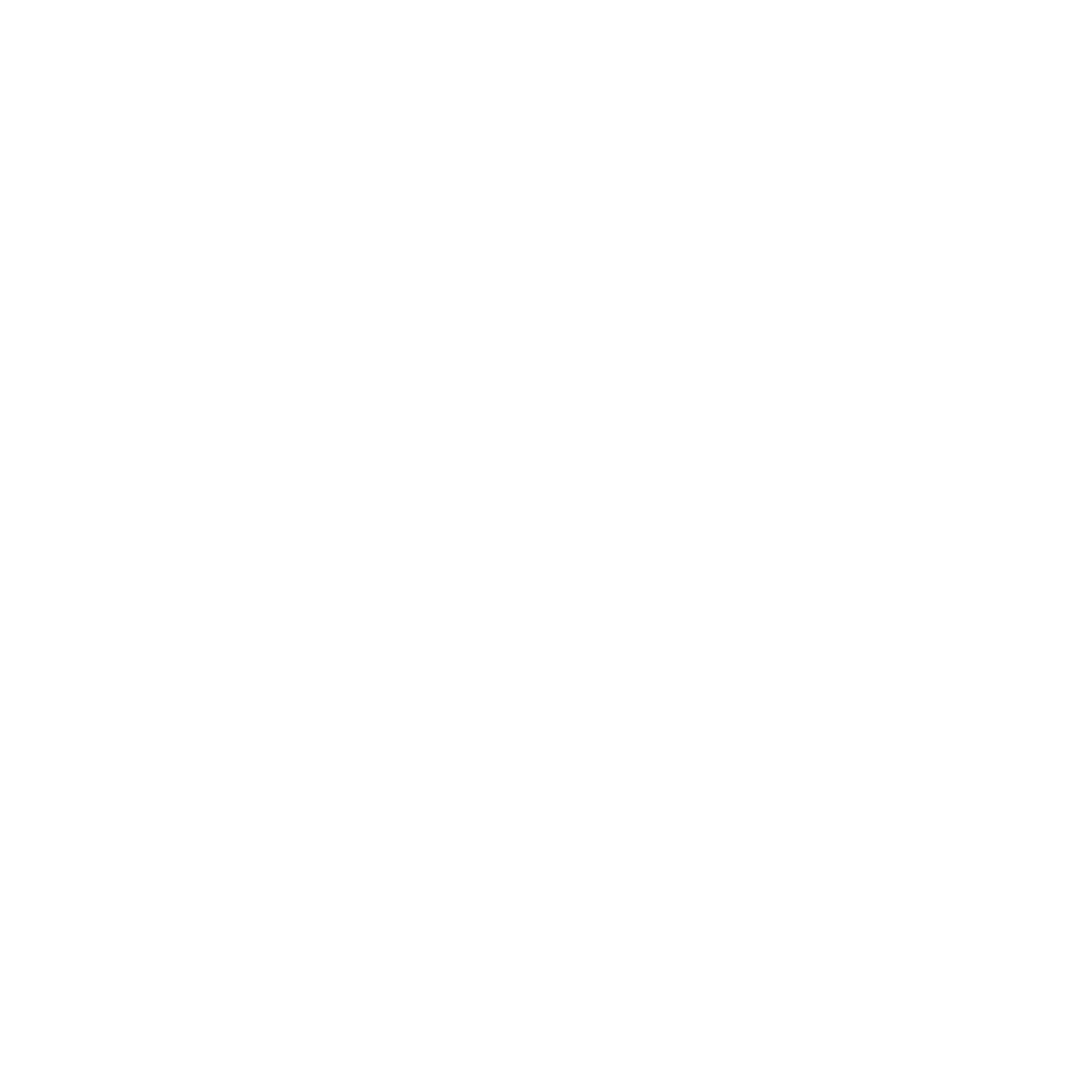 ZOOgroup logo